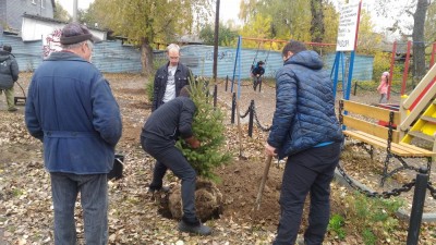 Канавинцы озеленили детскую площадку